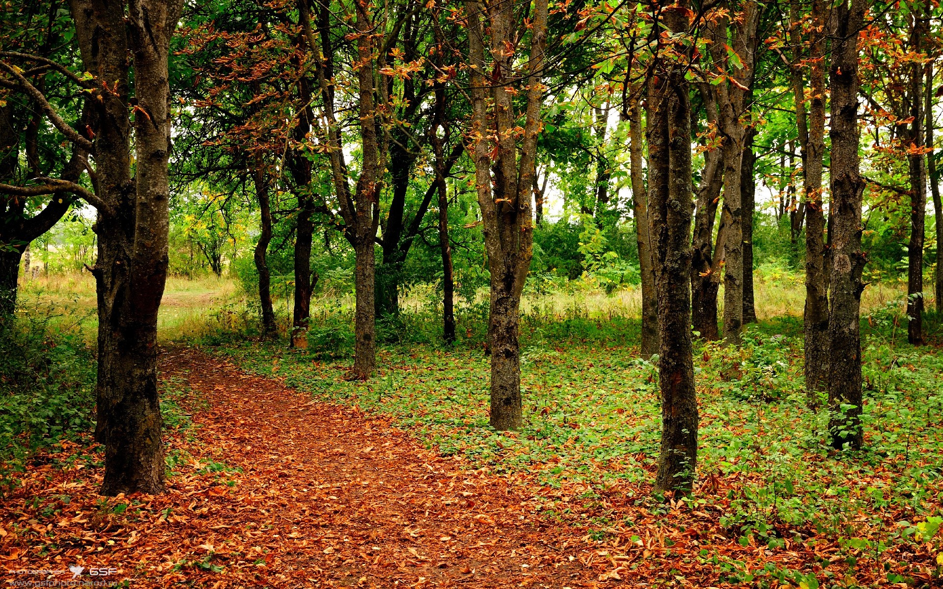 kaiyun体育app-【奥沙利文成长记】从少年奇才到永恒传奇的故事，奥沙利文著名146